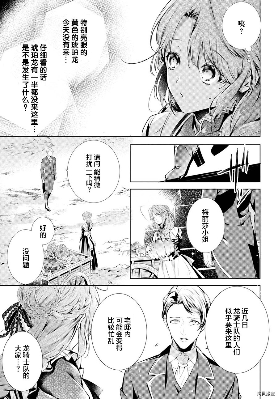 龙骑士的宠儿[拷贝漫画]韩漫全集-第11话无删减无遮挡章节图片 