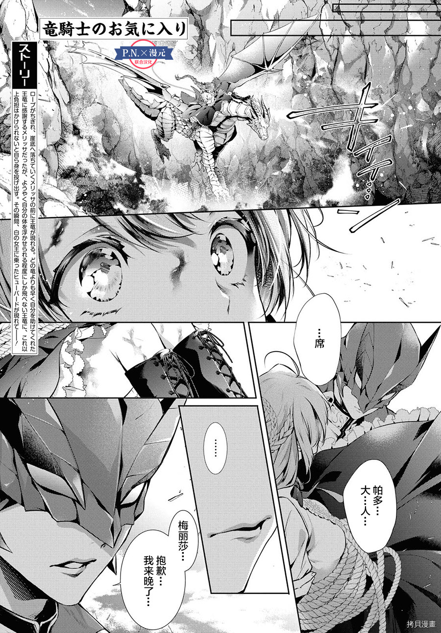 龙骑士的宠儿[拷贝漫画]韩漫全集-第17话无删减无遮挡章节图片 