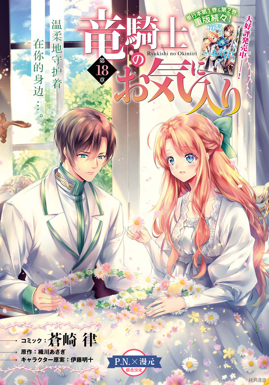 龙骑士的宠儿[拷贝漫画]韩漫全集-第18话无删减无遮挡章节图片 