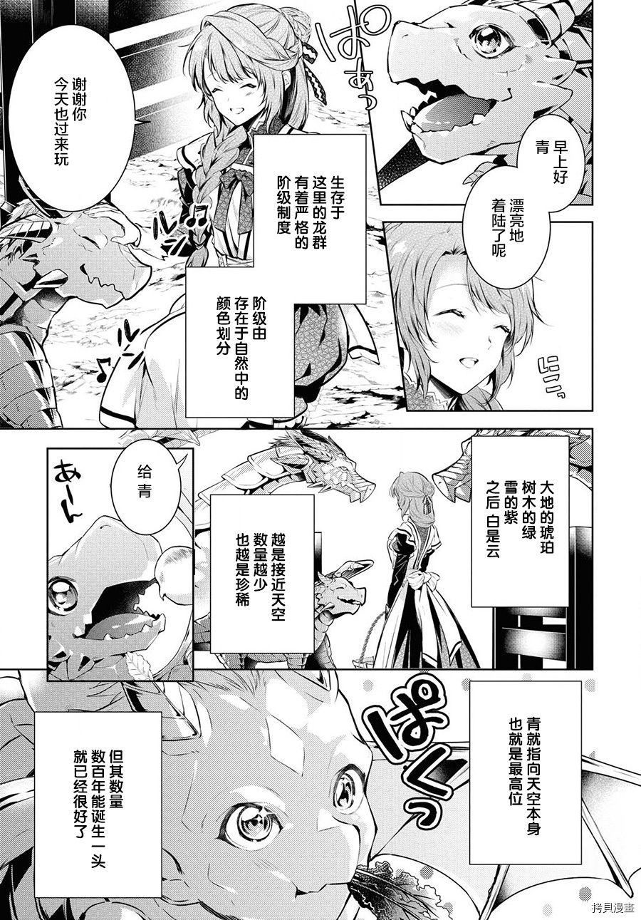 龙骑士的宠儿[拷贝漫画]韩漫全集-第19话无删减无遮挡章节图片 