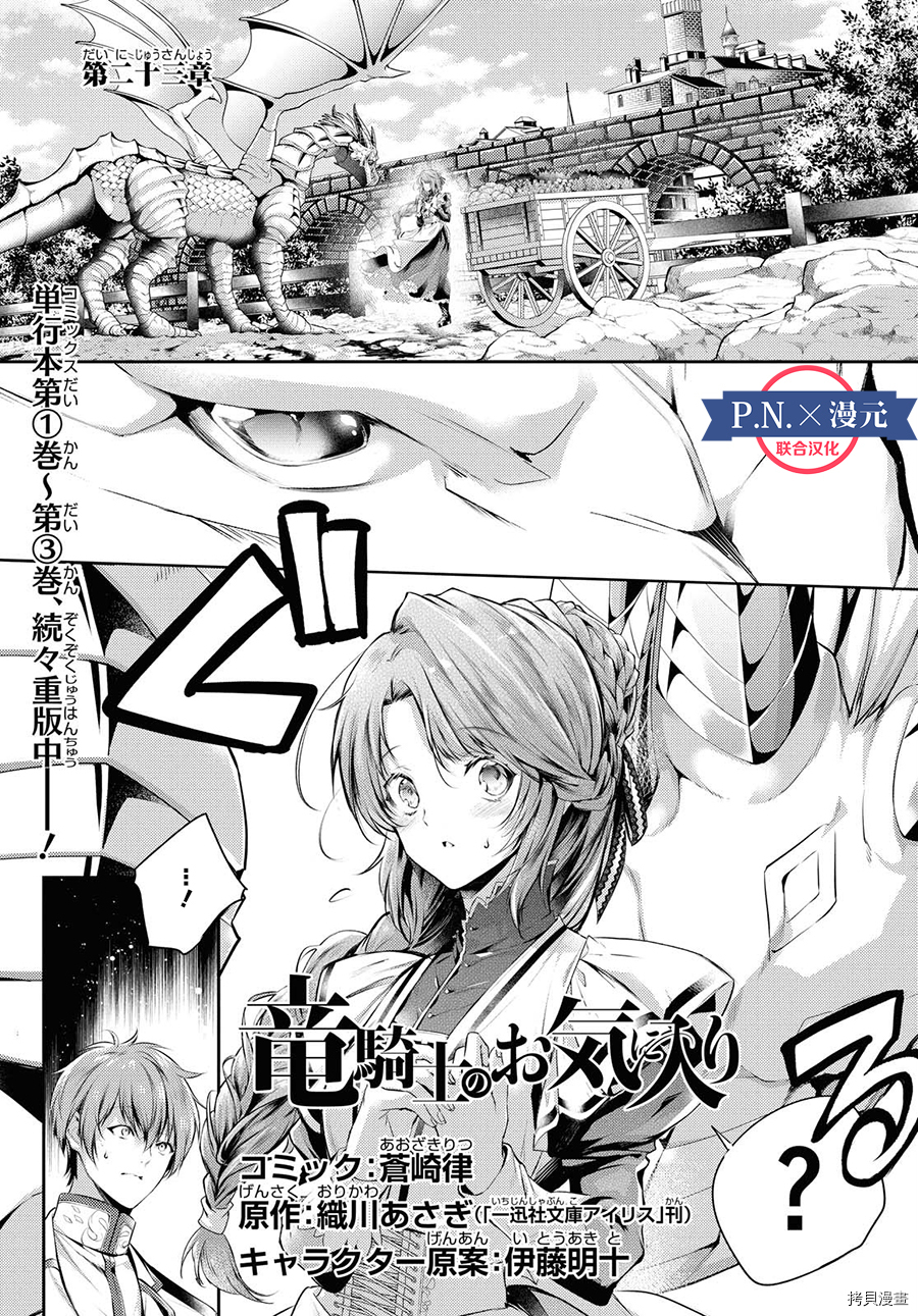 龙骑士的宠儿[拷贝漫画]韩漫全集-第23话无删减无遮挡章节图片 