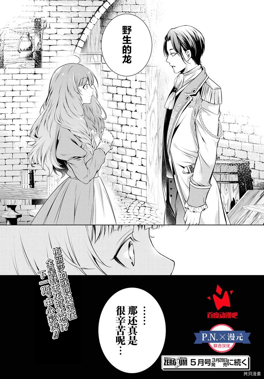龙骑士的宠儿[拷贝漫画]韩漫全集-第02话无删减无遮挡章节图片 