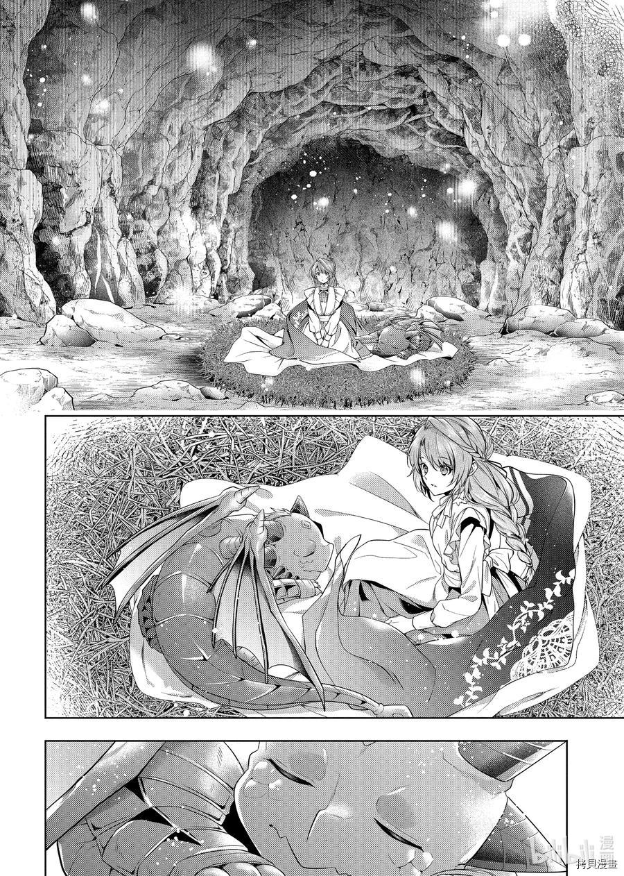 龙骑士的宠儿[拷贝漫画]韩漫全集-第27话无删减无遮挡章节图片 