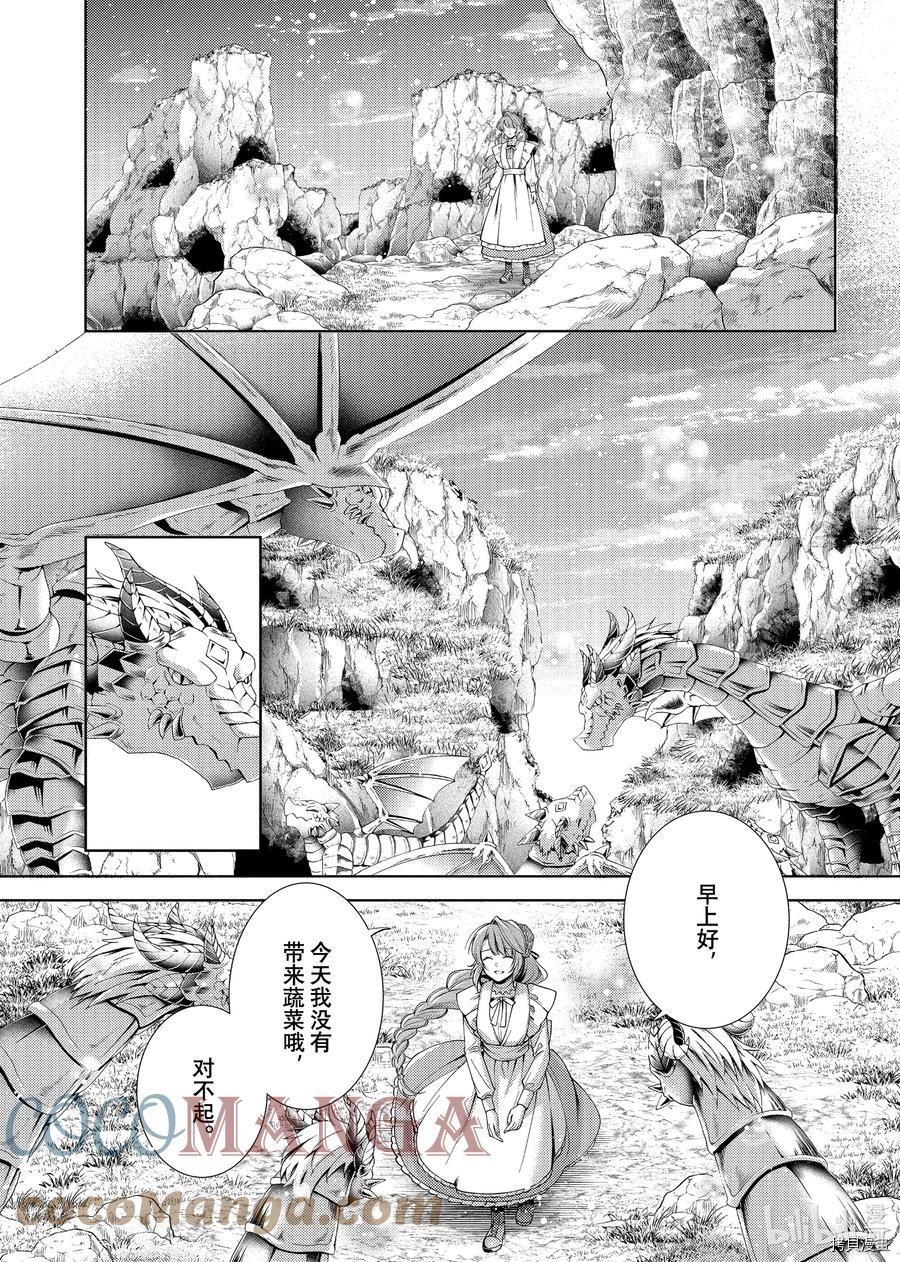 龙骑士的宠儿[拷贝漫画]韩漫全集-第27话无删减无遮挡章节图片 
