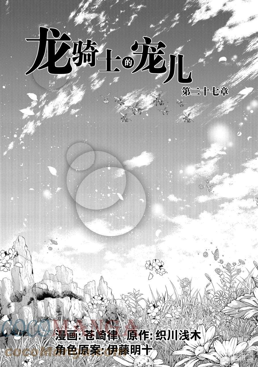 龙骑士的宠儿[拷贝漫画]韩漫全集-第27话无删减无遮挡章节图片 