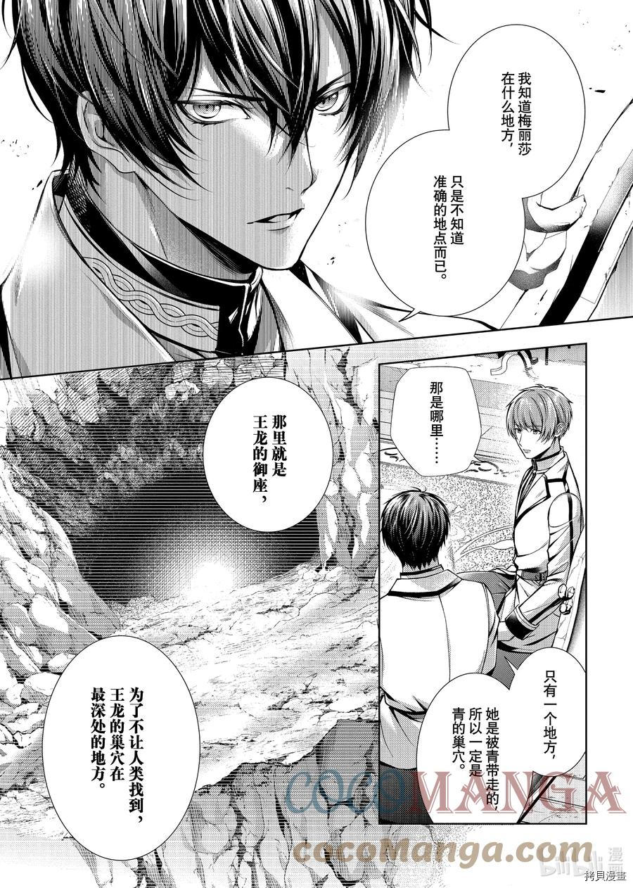 龙骑士的宠儿[拷贝漫画]韩漫全集-第27话无删减无遮挡章节图片 