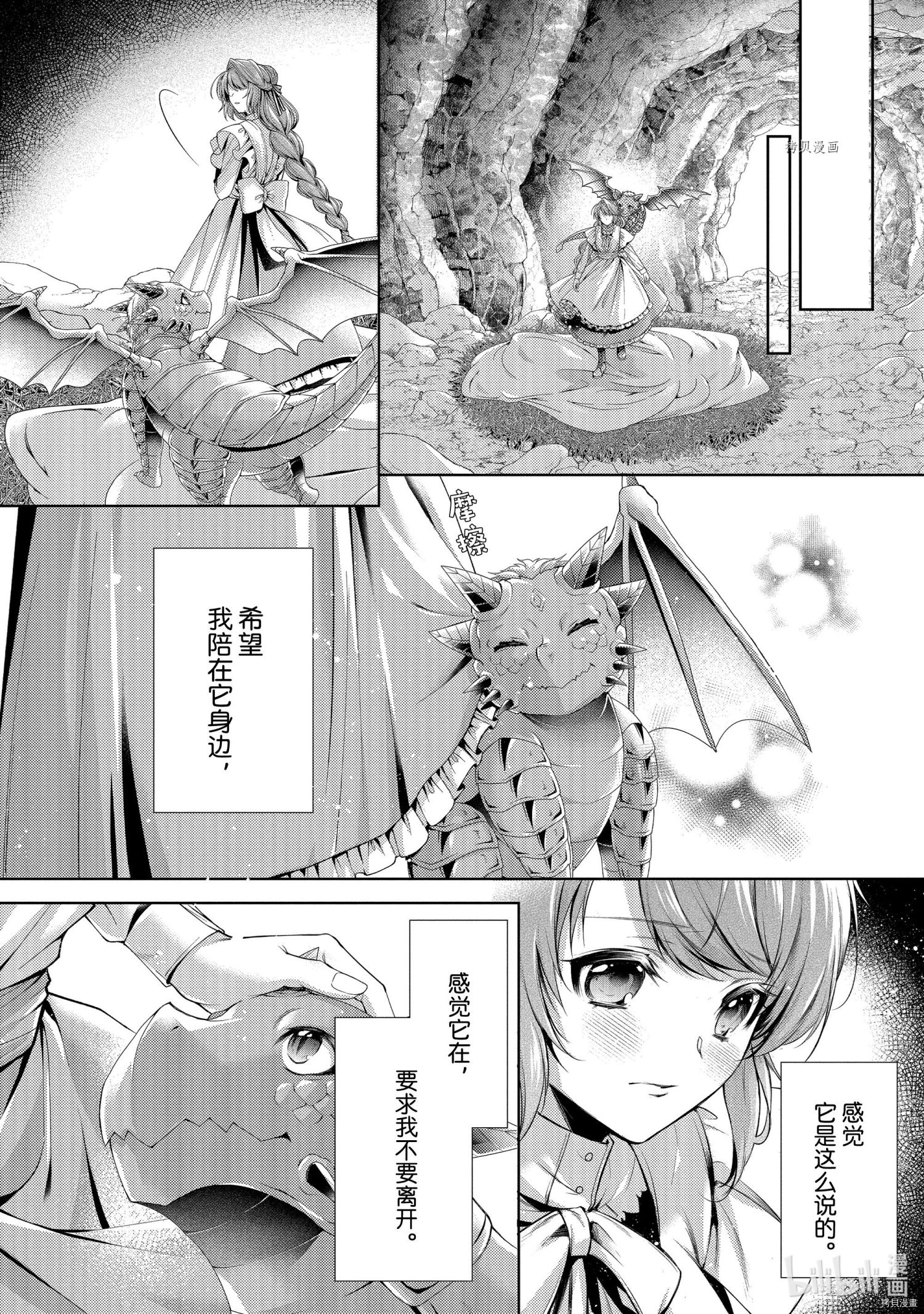 龙骑士的宠儿[拷贝漫画]韩漫全集-第28话无删减无遮挡章节图片 