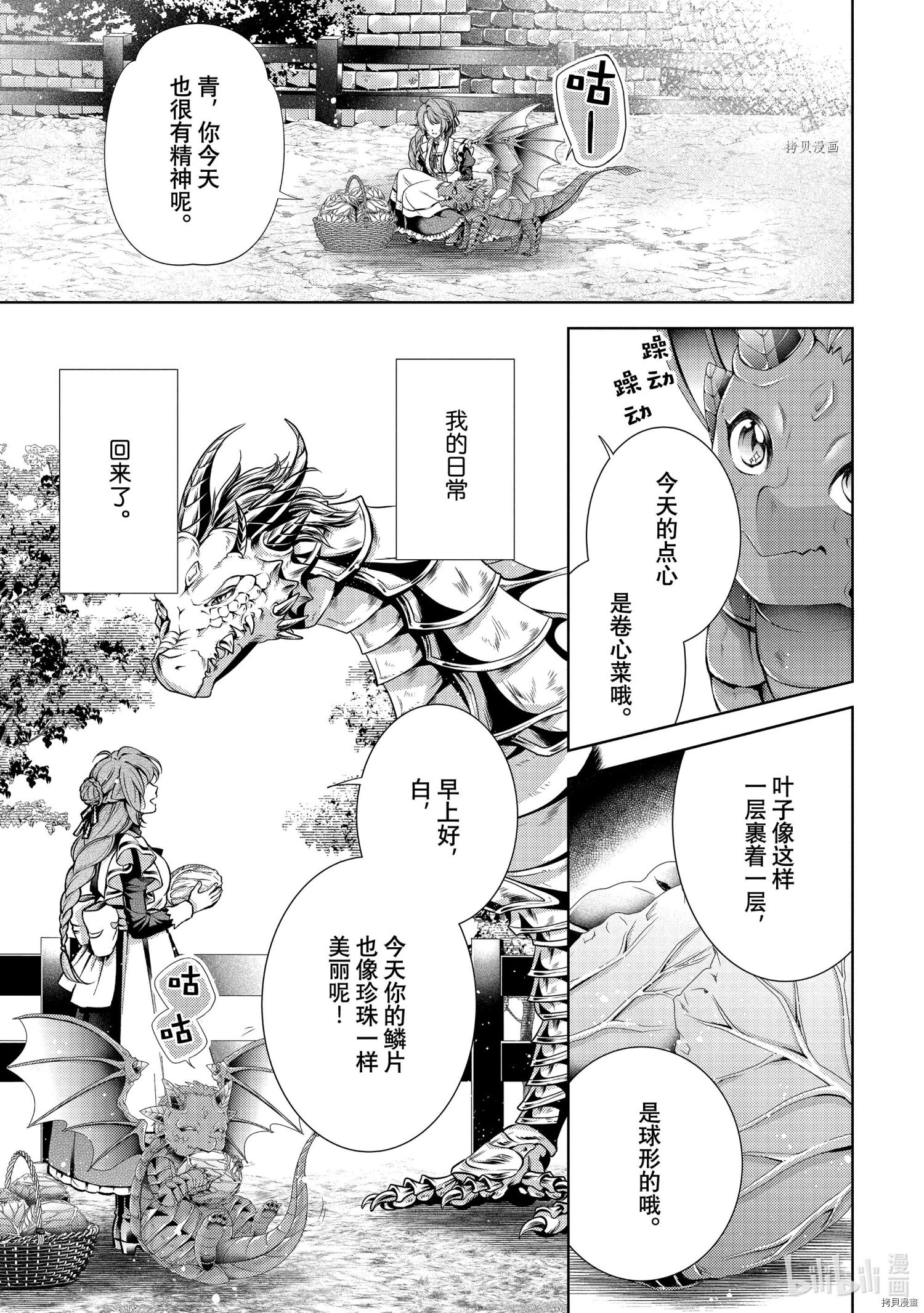 龙骑士的宠儿[拷贝漫画]韩漫全集-第31话无删减无遮挡章节图片 