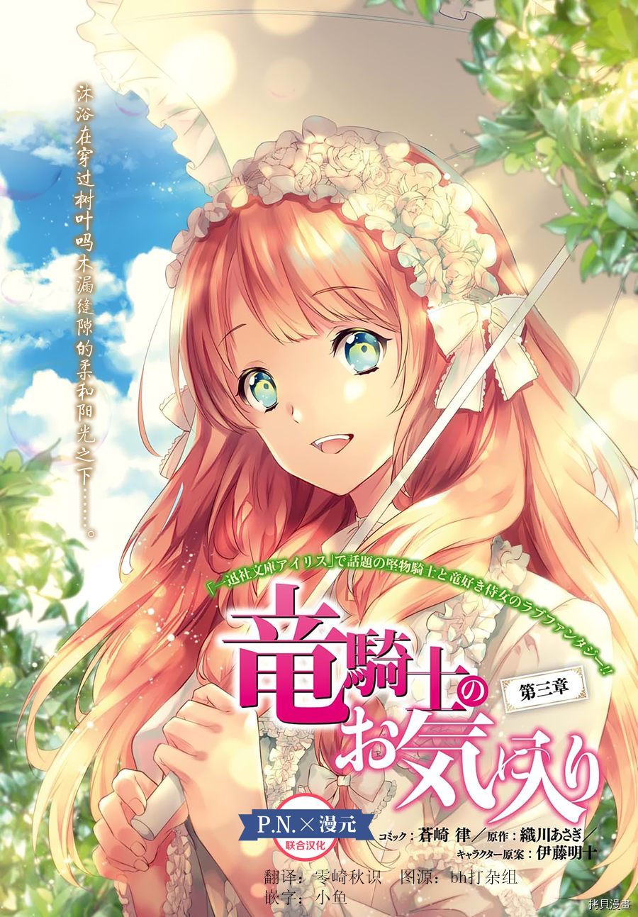 龙骑士的宠儿[拷贝漫画]韩漫全集-第03话无删减无遮挡章节图片 
