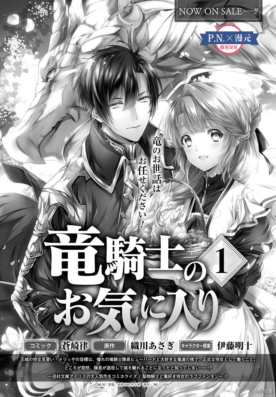 龙骑士的宠儿[拷贝漫画]韩漫全集-第08话无删减无遮挡章节图片 