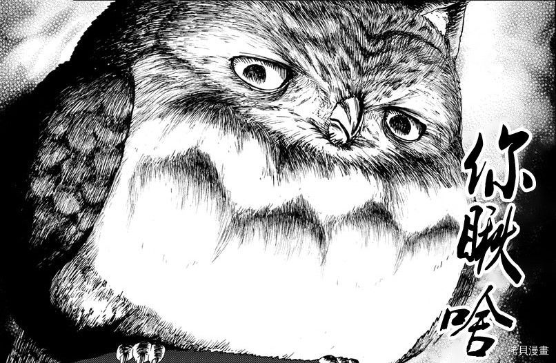 你是008[拷贝漫画]韩漫全集-第104話无删减无遮挡章节图片 