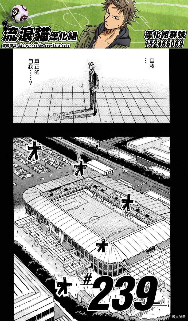 逆转监督[拷贝漫画]韩漫全集-第239话无删减无遮挡章节图片 