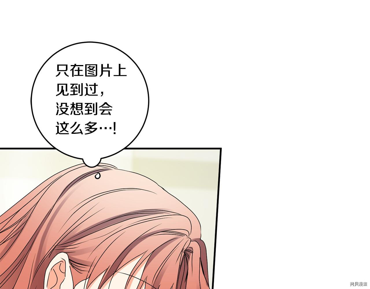 拿下S级学长[拷贝漫画]韩漫全集-第37話无删减无遮挡章节图片 