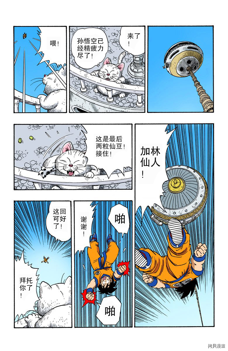 七龙珠[拷贝漫画]韩漫全集-19卷无删减无遮挡章节图片 