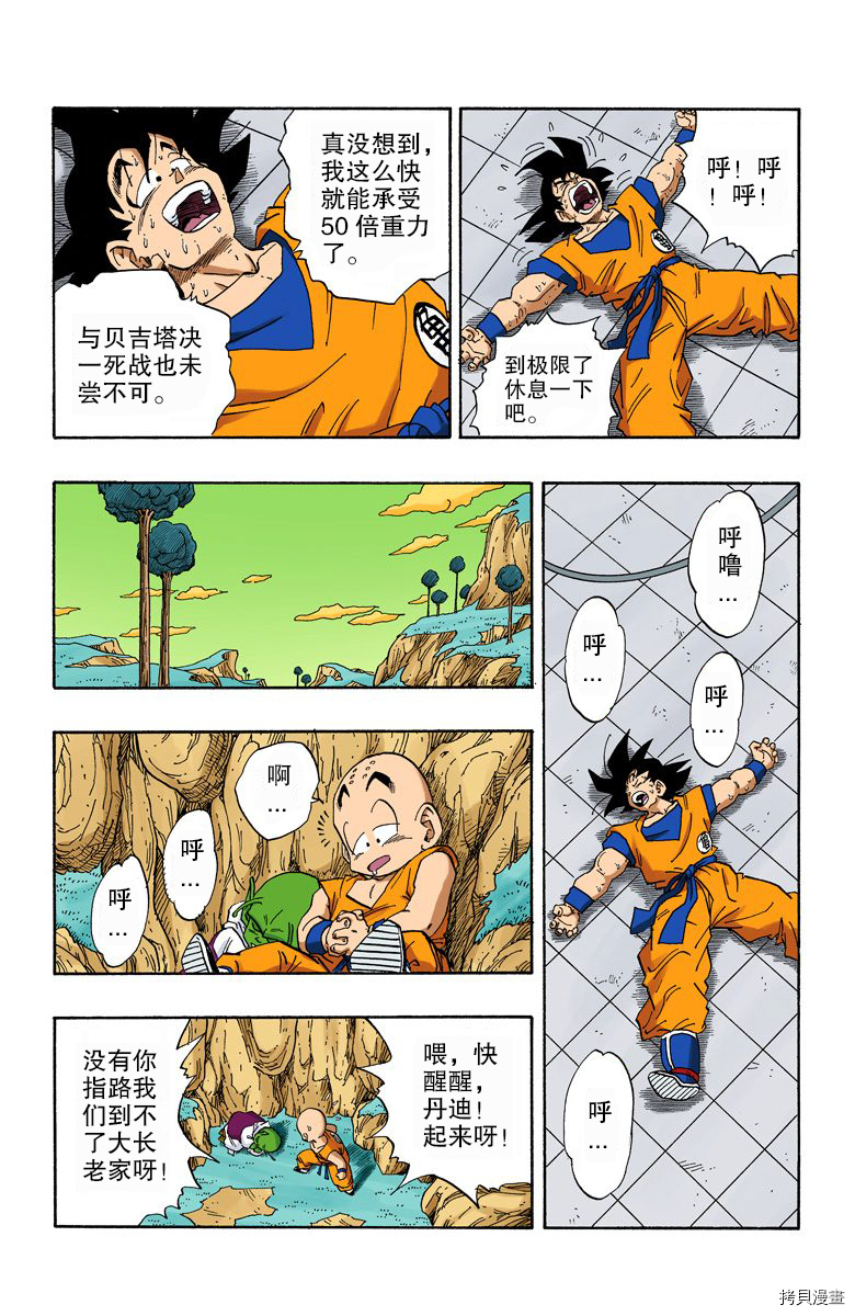 七龙珠[拷贝漫画]韩漫全集-22卷无删减无遮挡章节图片 
