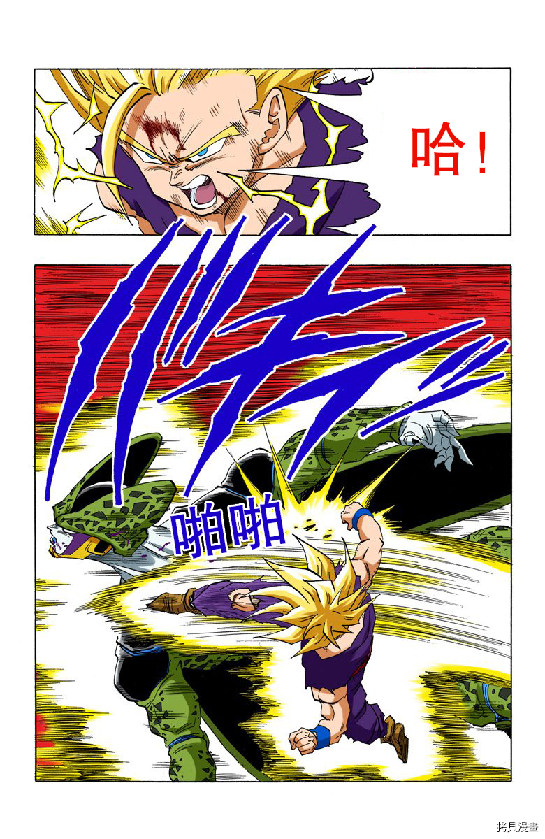 七龙珠[拷贝漫画]韩漫全集-35卷无删减无遮挡章节图片 