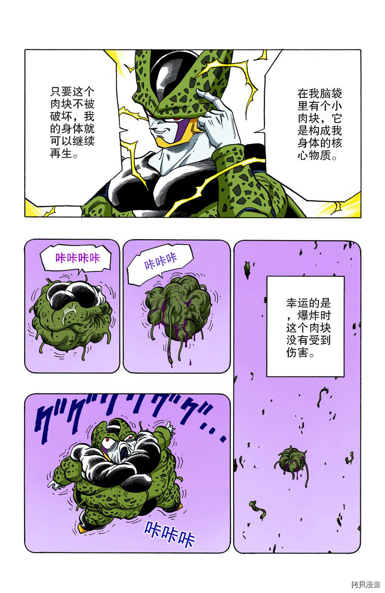 七龙珠[拷贝漫画]韩漫全集-35卷无删减无遮挡章节图片 
