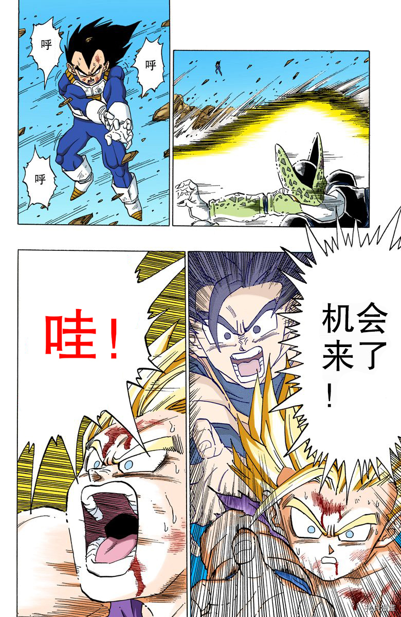 七龙珠[拷贝漫画]韩漫全集-35卷无删减无遮挡章节图片 