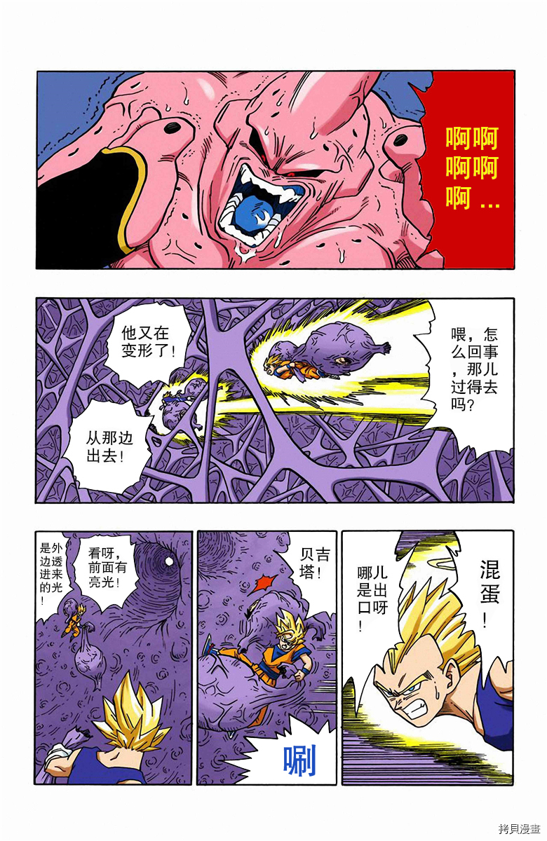 七龙珠[拷贝漫画]韩漫全集-42卷无删减无遮挡章节图片 