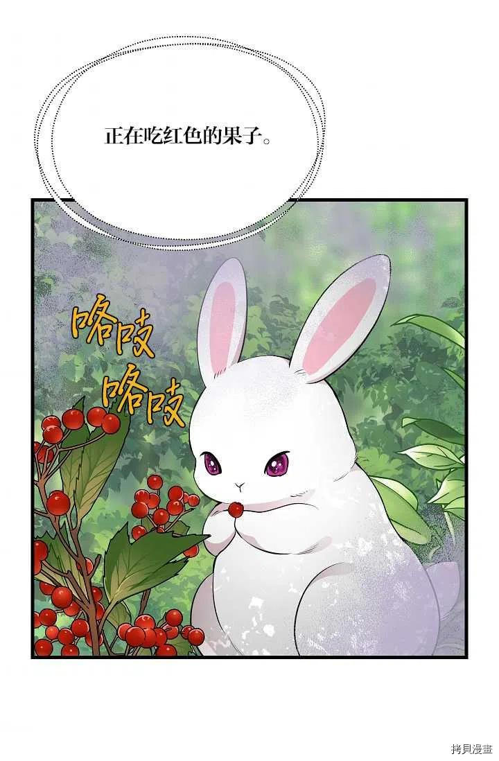 请抛弃我[拷贝漫画]韩漫全集-第63话无删减无遮挡章节图片 