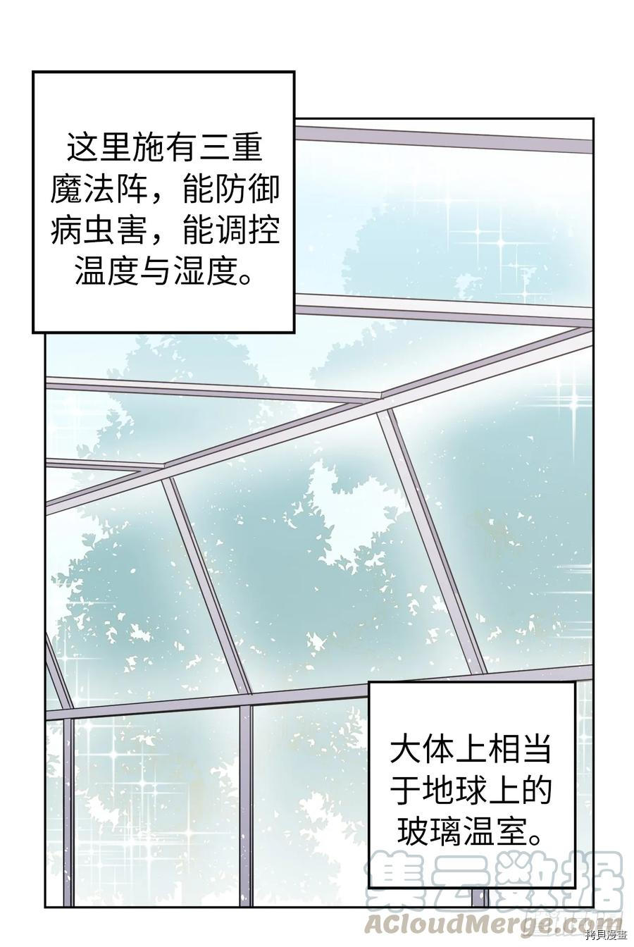 琪拉的美男图鉴[拷贝漫画]韩漫全集-第50话无删减无遮挡章节图片 