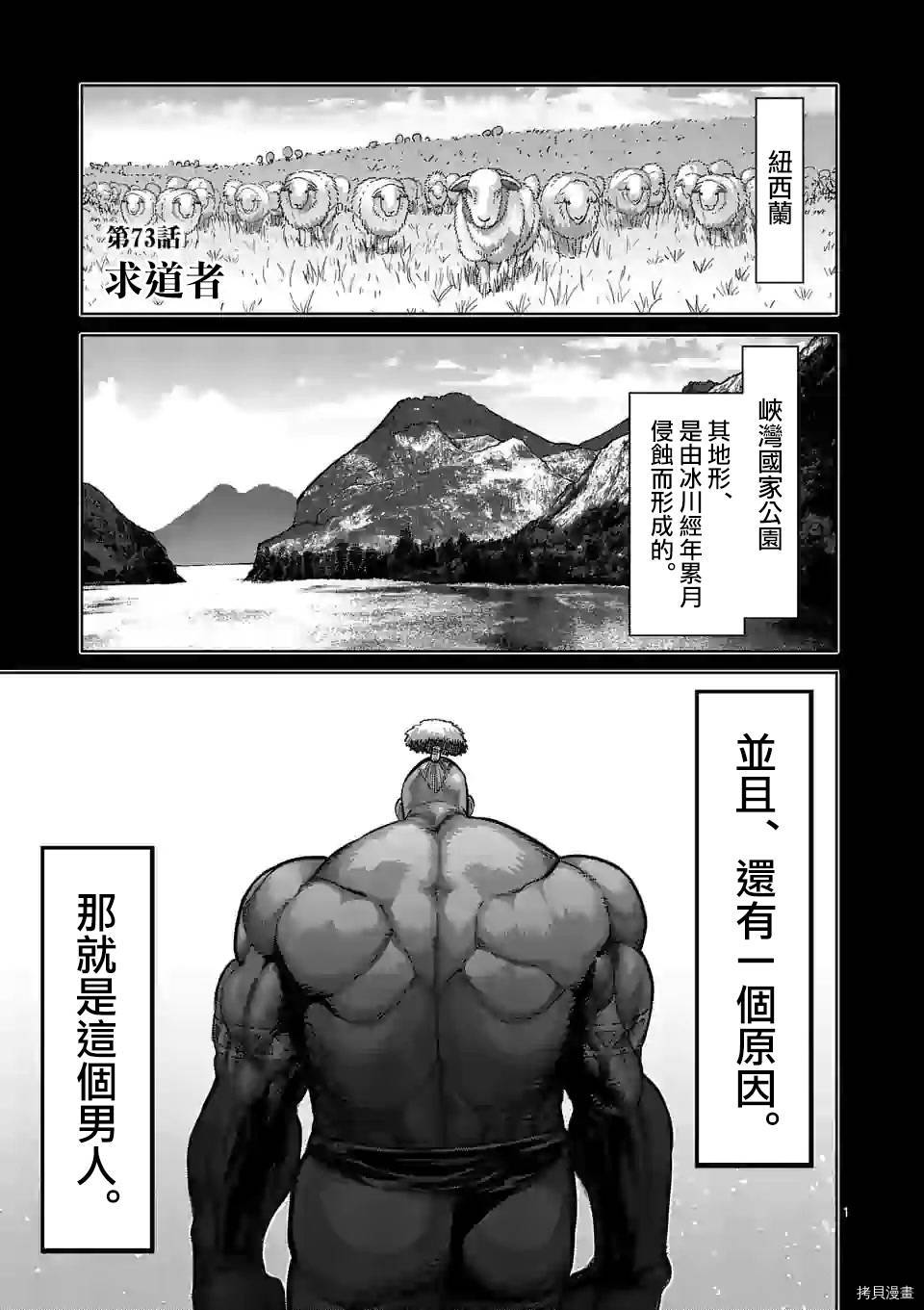 拳愿奥米迦[拷贝漫画]韩漫全集-第73话无删减无遮挡章节图片 