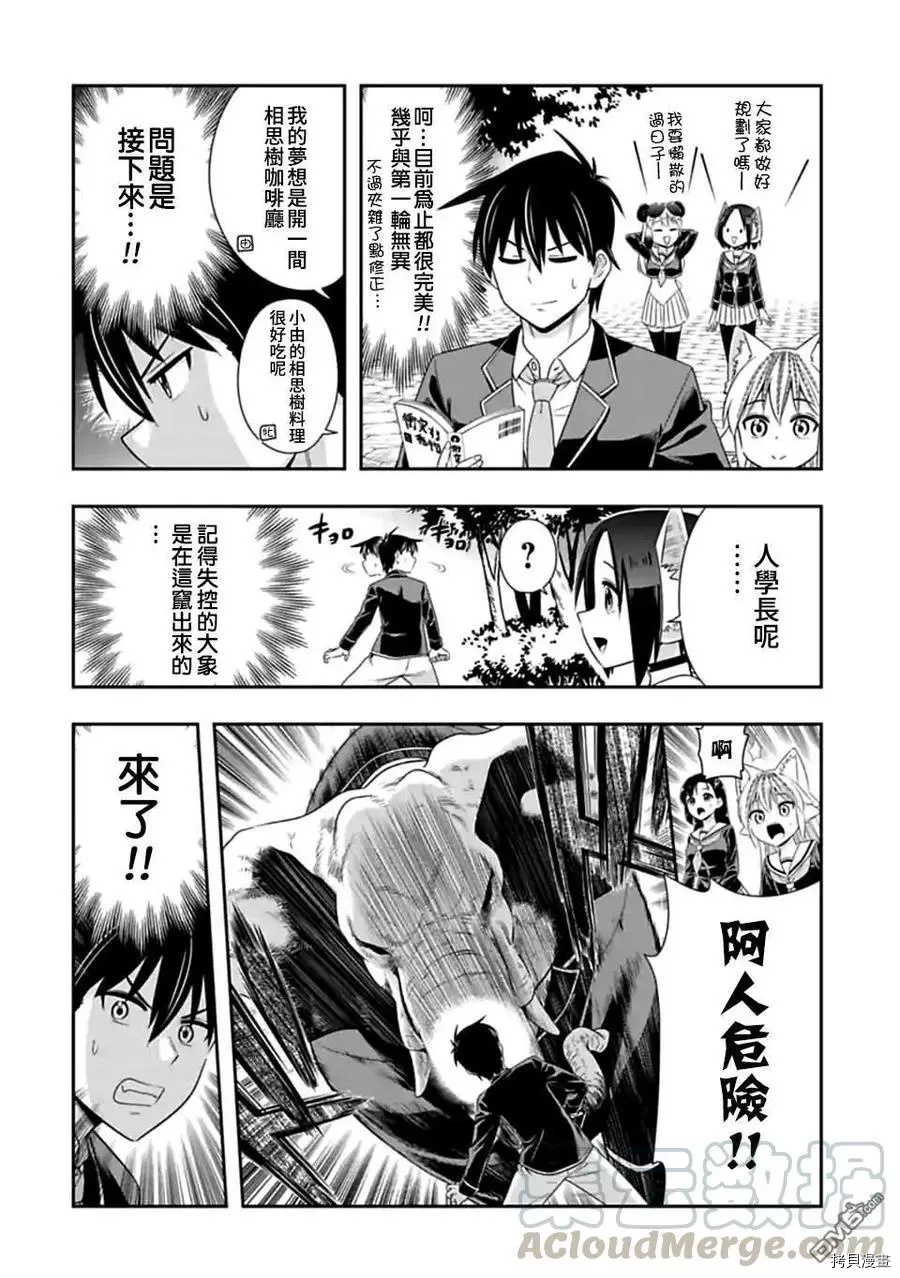 群聚一堂！西顿学园[拷贝漫画]韩漫全集-第145话无删减无遮挡章节图片 