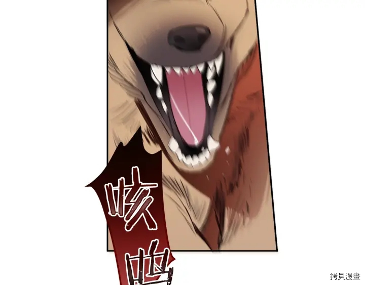 女王的短裤[拷贝漫画]韩漫全集-第48话无删减无遮挡章节图片 