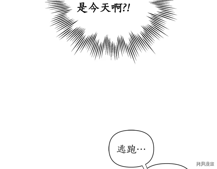 女王的短裤[拷贝漫画]韩漫全集-第49话无删减无遮挡章节图片 