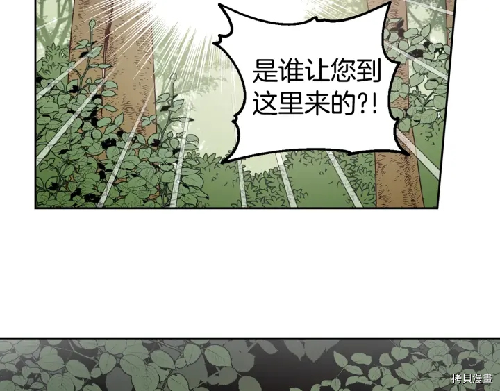 女王的短裤[拷贝漫画]韩漫全集-第50话无删减无遮挡章节图片 