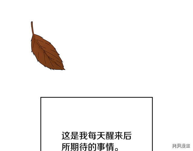 三岁开始做王者[拷贝漫画]韩漫全集-第114话无删减无遮挡章节图片 