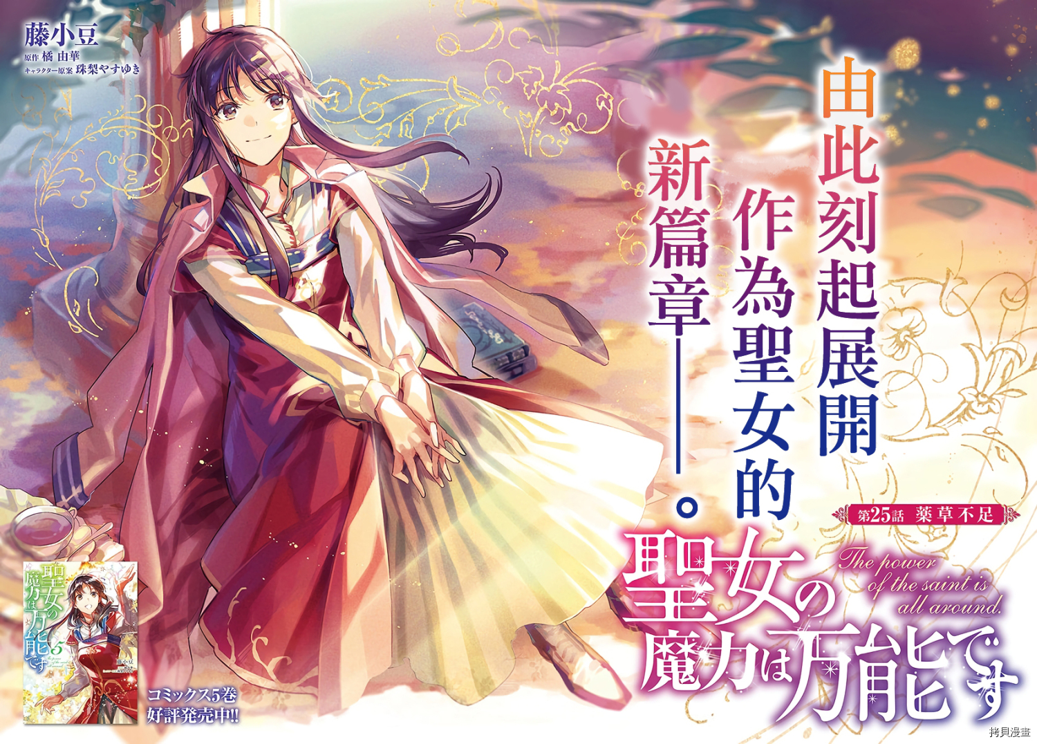 圣女的魔力是万能的[拷贝漫画]韩漫全集-第25.1話无删减无遮挡章节图片 