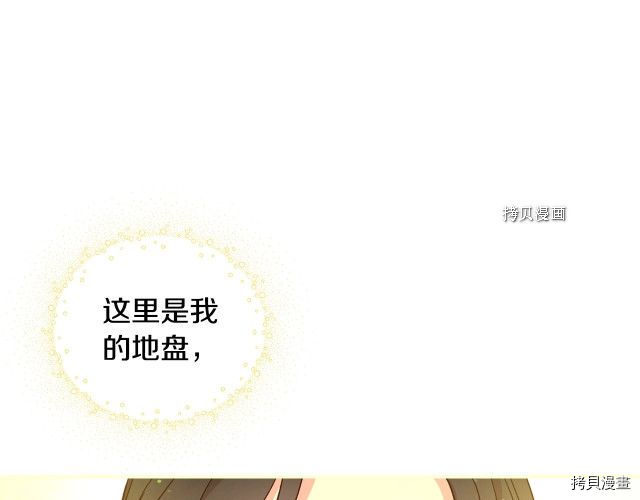 侍女只想活下去[拷贝漫画]韩漫全集-第27话无删减无遮挡章节图片 