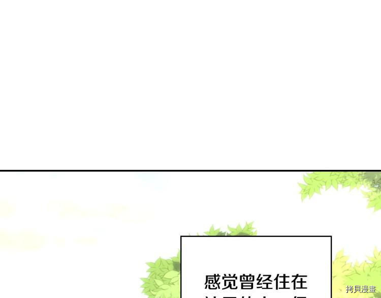 侍女只想活下去[拷贝漫画]韩漫全集-第44话无删减无遮挡章节图片 