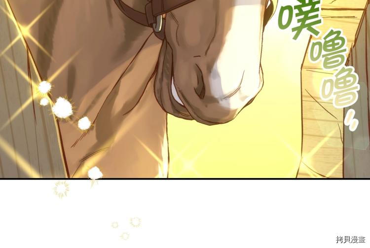 侍女只想活下去[拷贝漫画]韩漫全集-第48话无删减无遮挡章节图片 