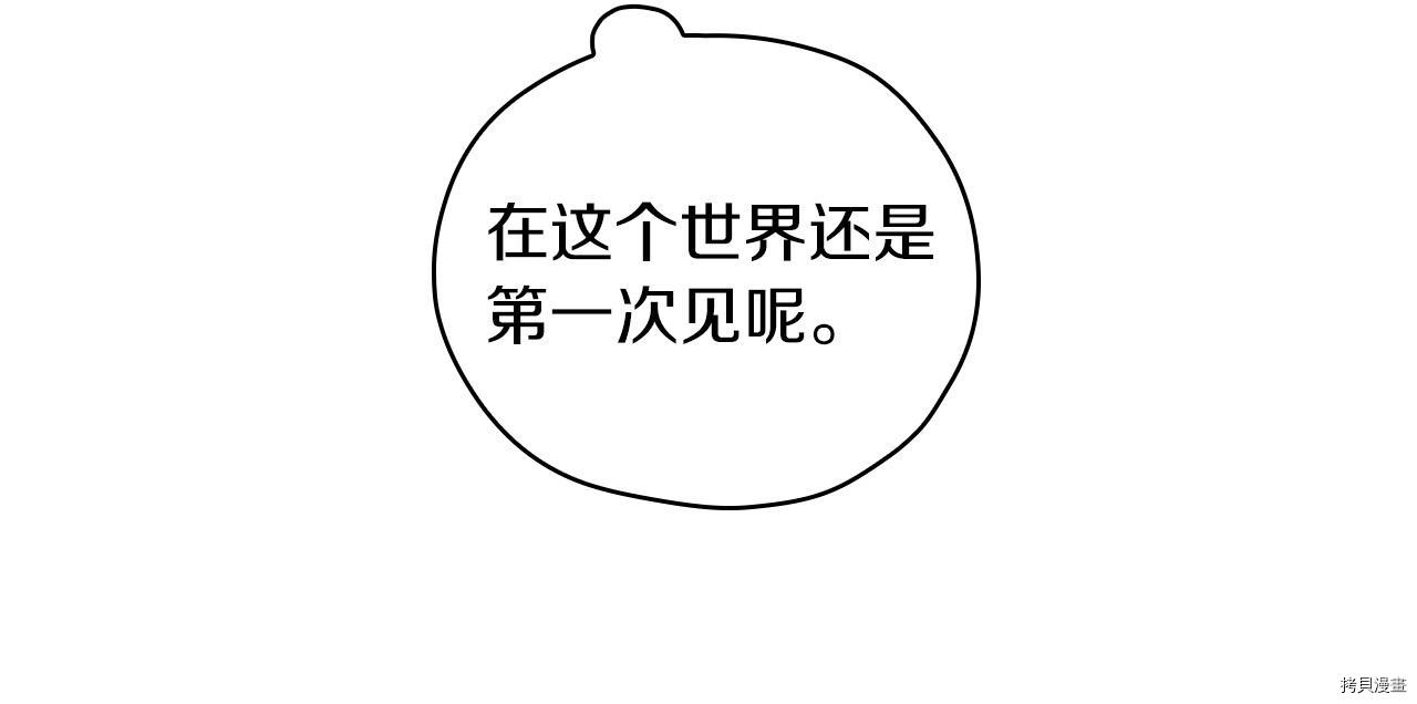 侍女只想活下去[拷贝漫画]韩漫全集-第55话无删减无遮挡章节图片 