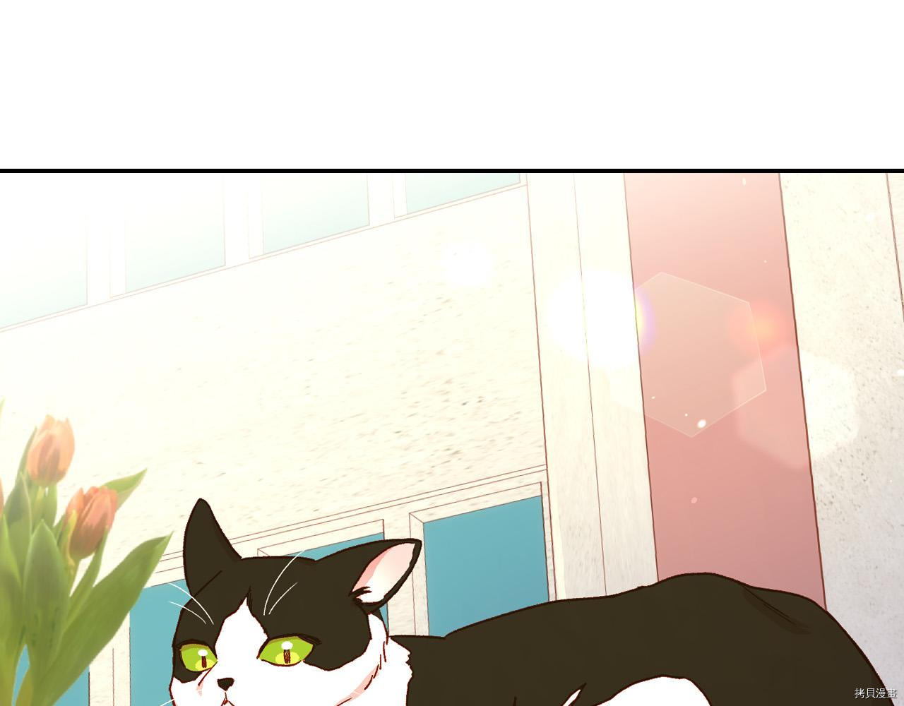 侍女只想活下去[拷贝漫画]韩漫全集-第55话无删减无遮挡章节图片 