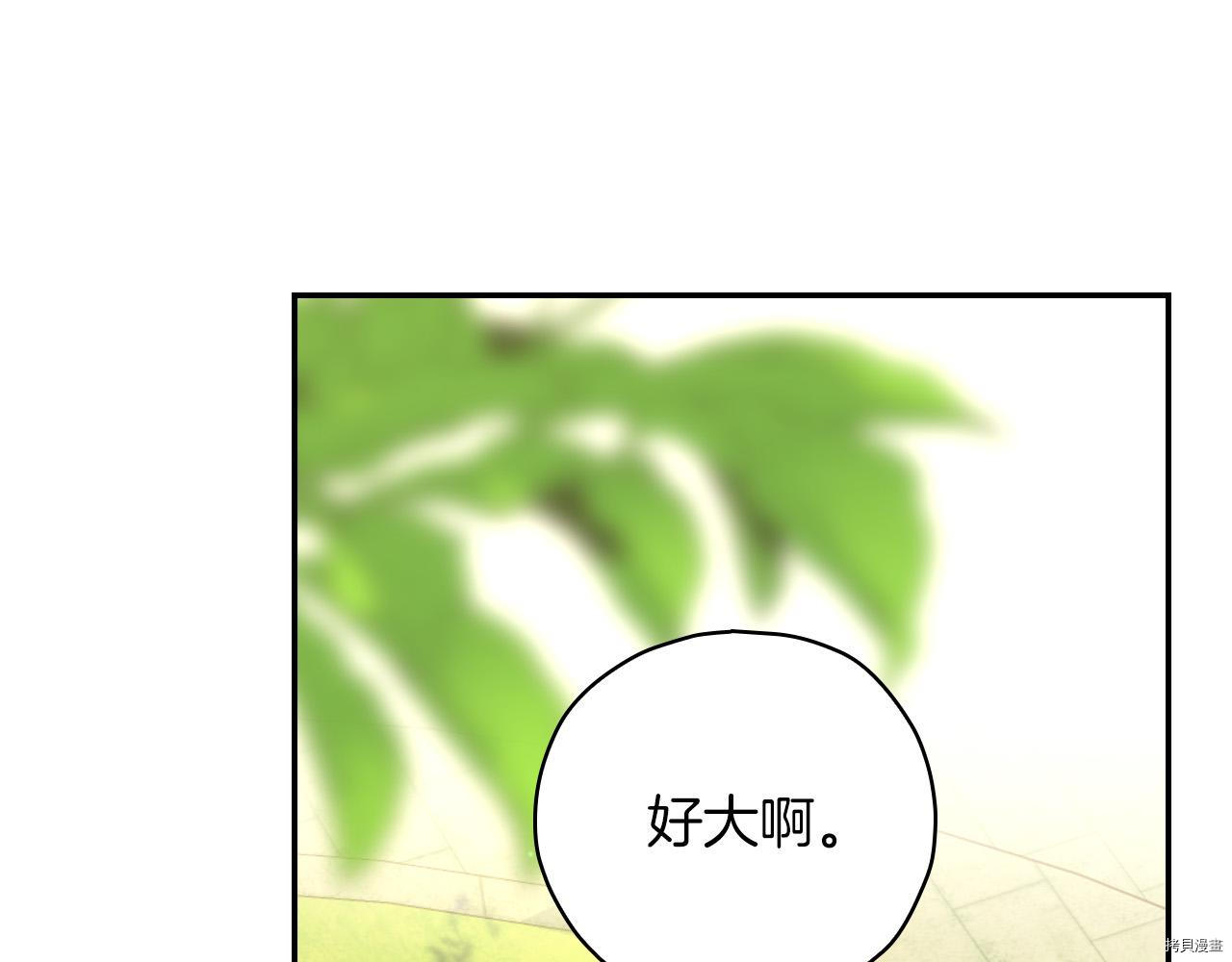 侍女只想活下去[拷贝漫画]韩漫全集-第56话无删减无遮挡章节图片 