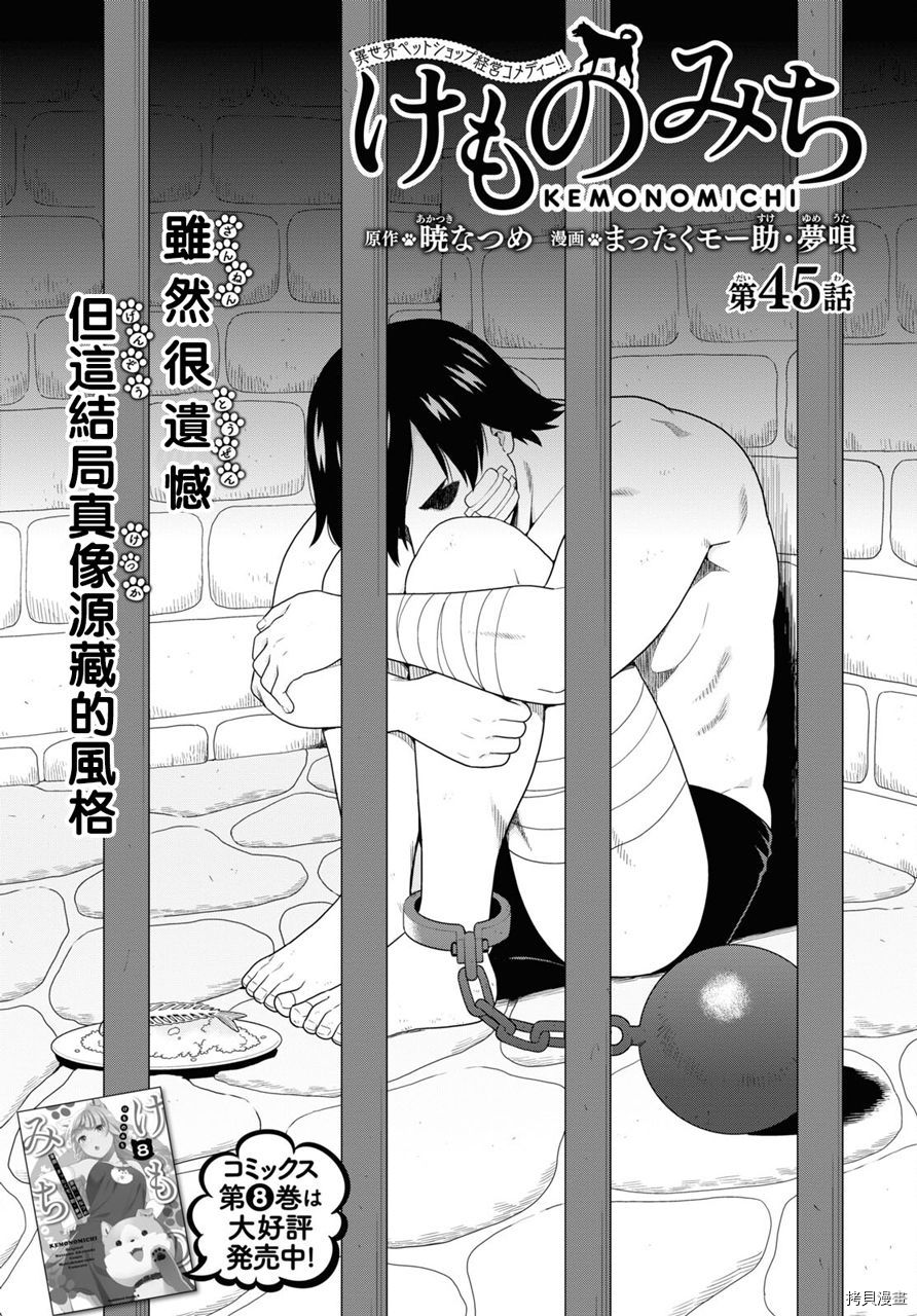 兽道[拷贝漫画]韩漫全集-第45话无删减无遮挡章节图片 