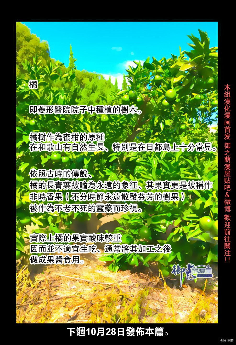 Summer time rendering[拷贝漫画]韩漫全集-番外14无删减无遮挡章节图片 