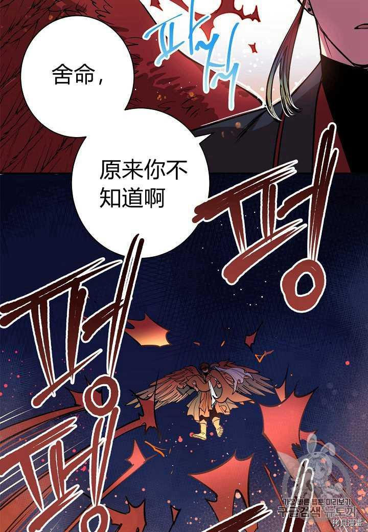 天人的新娘[拷贝漫画]韩漫全集-第1话无删减无遮挡章节图片 