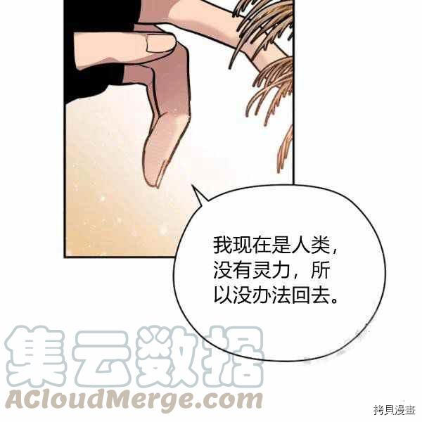 天人的新娘[拷贝漫画]韩漫全集-第49话无删减无遮挡章节图片 