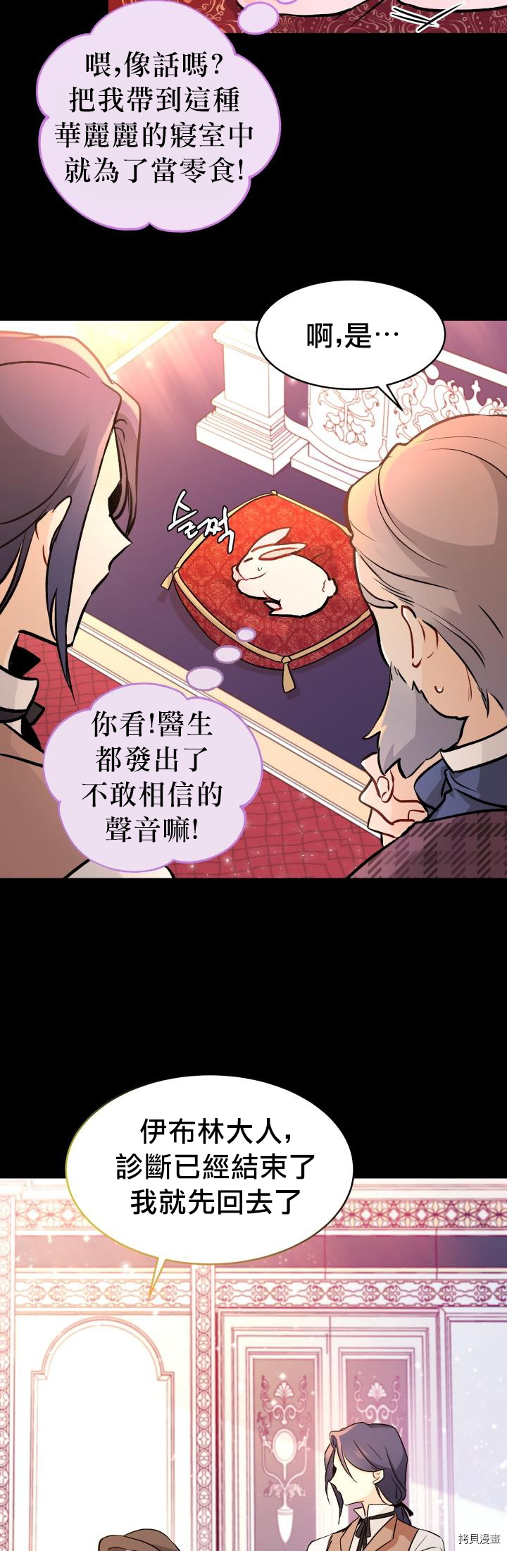 兔子与黑豹的共生关系[拷贝漫画]韩漫全集-第02话无删减无遮挡章节图片 