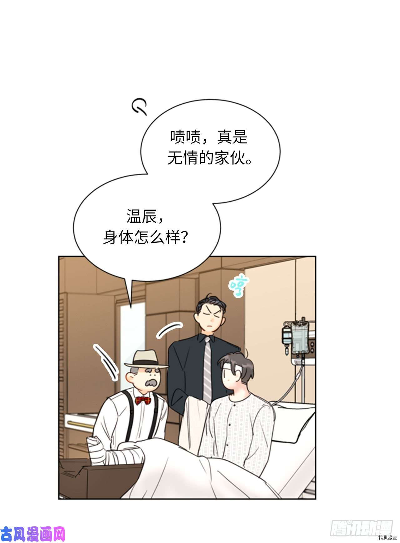 我和总裁相了个亲[拷贝漫画]韩漫全集-第99话无删减无遮挡章节图片 