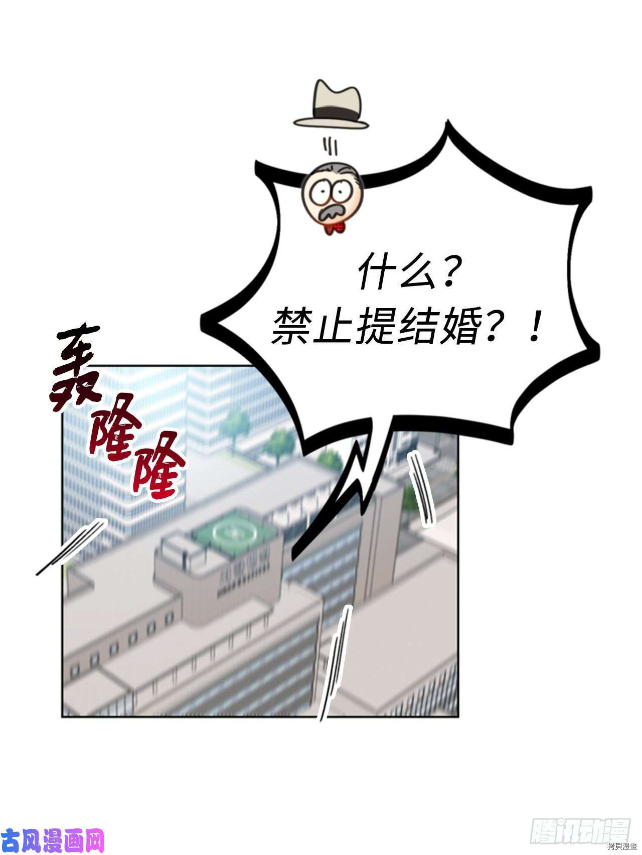 我和总裁相了个亲[拷贝漫画]韩漫全集-第99话无删减无遮挡章节图片 