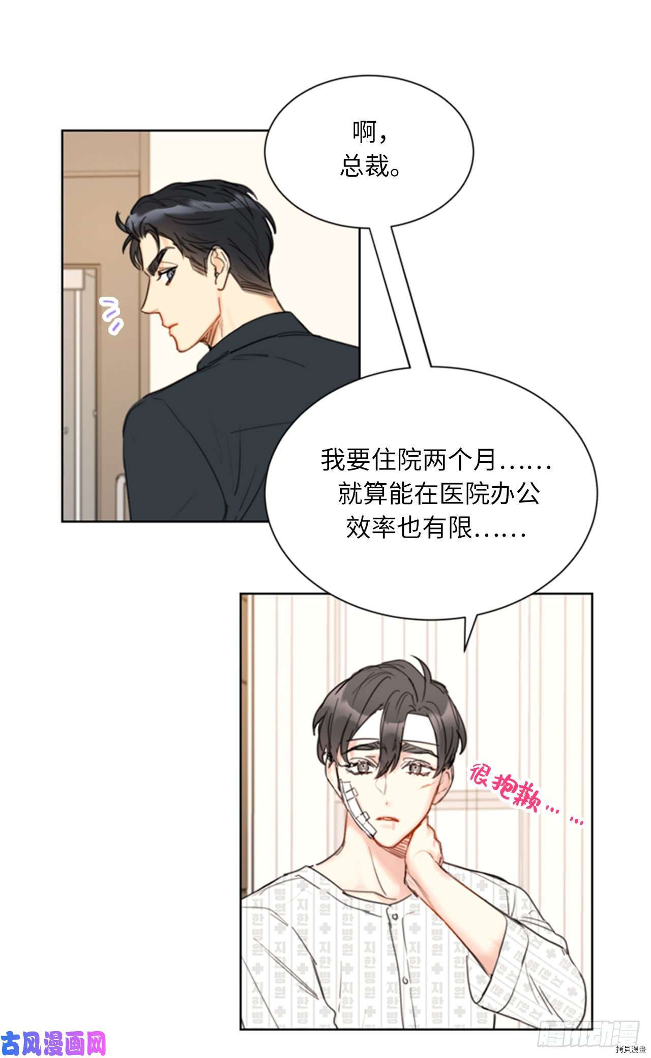 我和总裁相了个亲[拷贝漫画]韩漫全集-第100话无删减无遮挡章节图片 