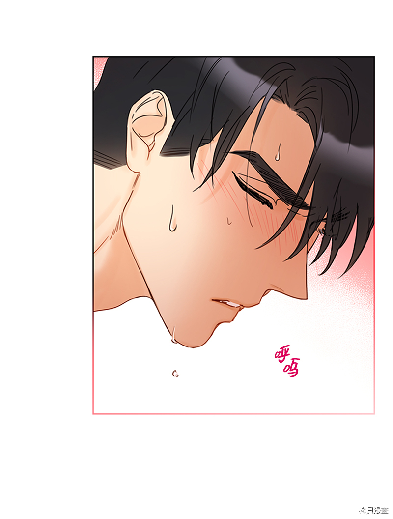 我和总裁相了个亲[拷贝漫画]韩漫全集-第153话无删减无遮挡章节图片 