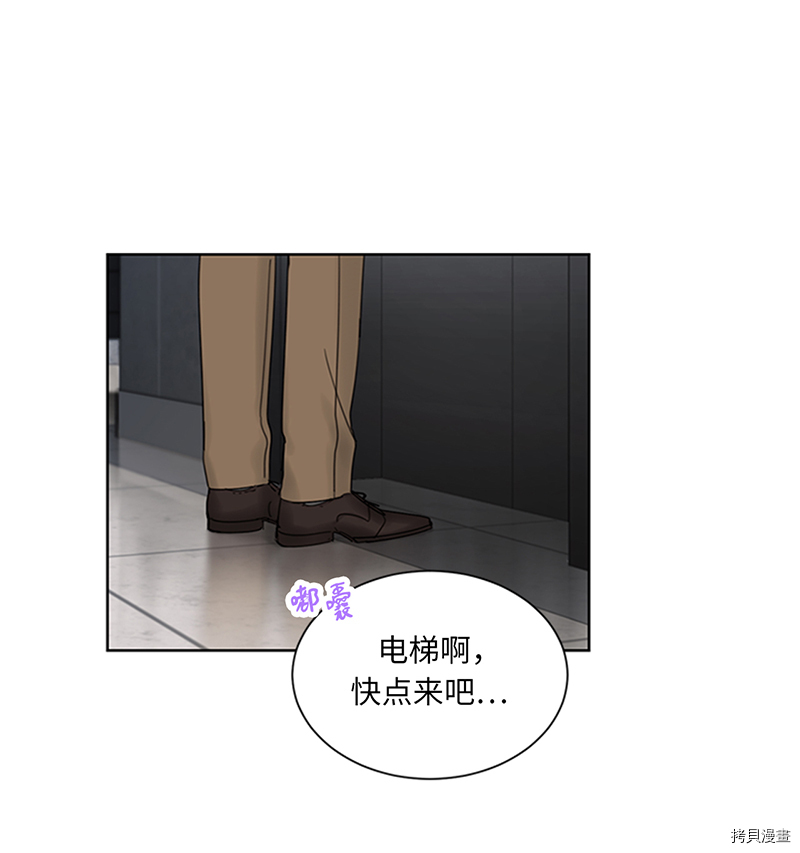 我和总裁相了个亲[拷贝漫画]韩漫全集-第156话无删减无遮挡章节图片 