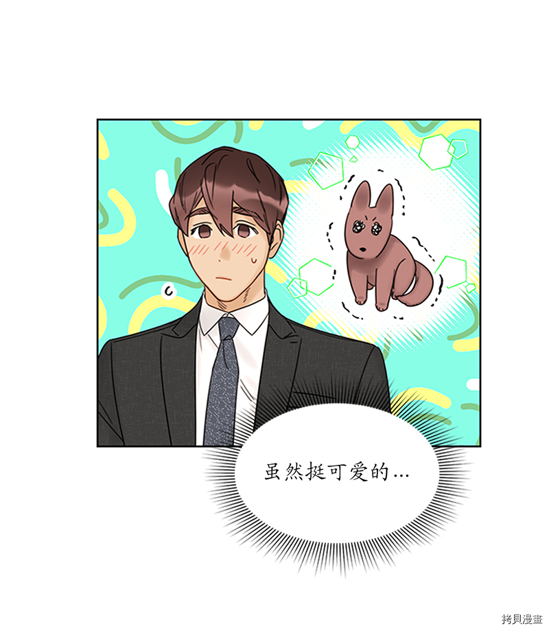 我和总裁相了个亲[拷贝漫画]韩漫全集-第157话无删减无遮挡章节图片 