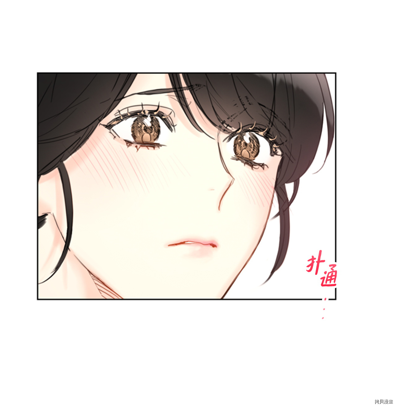 我和总裁相了个亲[拷贝漫画]韩漫全集-第74话无删减无遮挡章节图片 